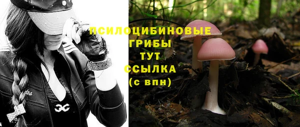 синтетический гашиш Семёнов