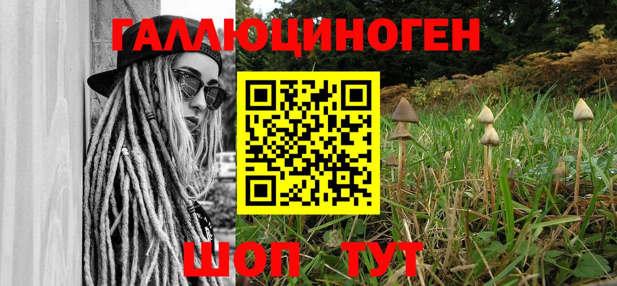 Истра  Псилоцибиновые грибы ЛСД  Вход с VPN 
