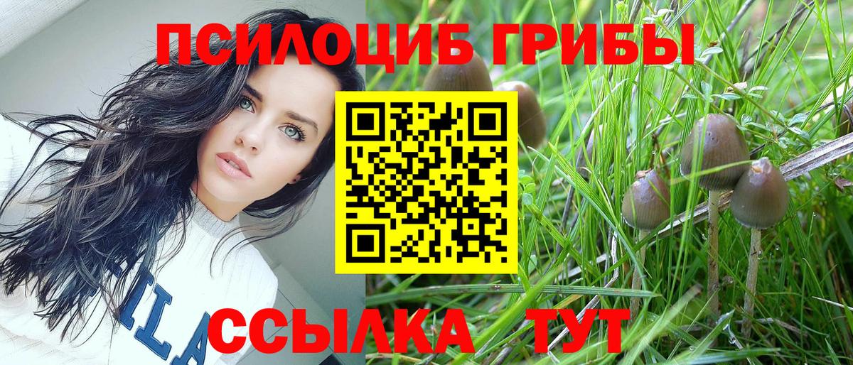 Галлюциногенные грибы Magic Shrooms Истра
